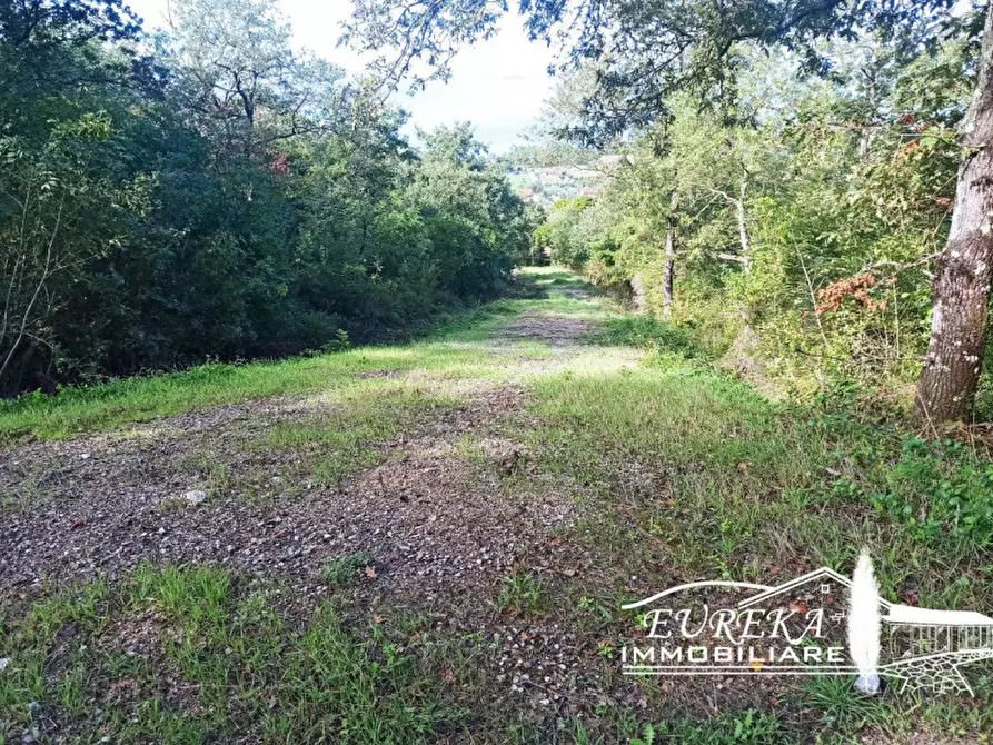 Immagine 6 di Terreno in vendita  in strada della rocca a Magione
