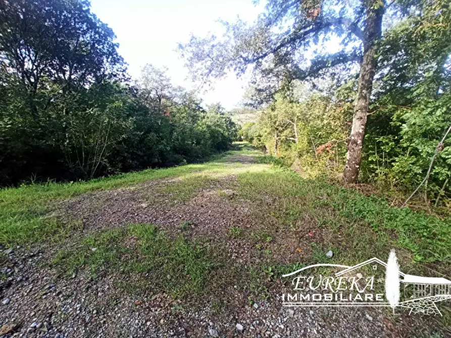 Immagine 7 di Terreno in vendita  in strada della rocca a Magione