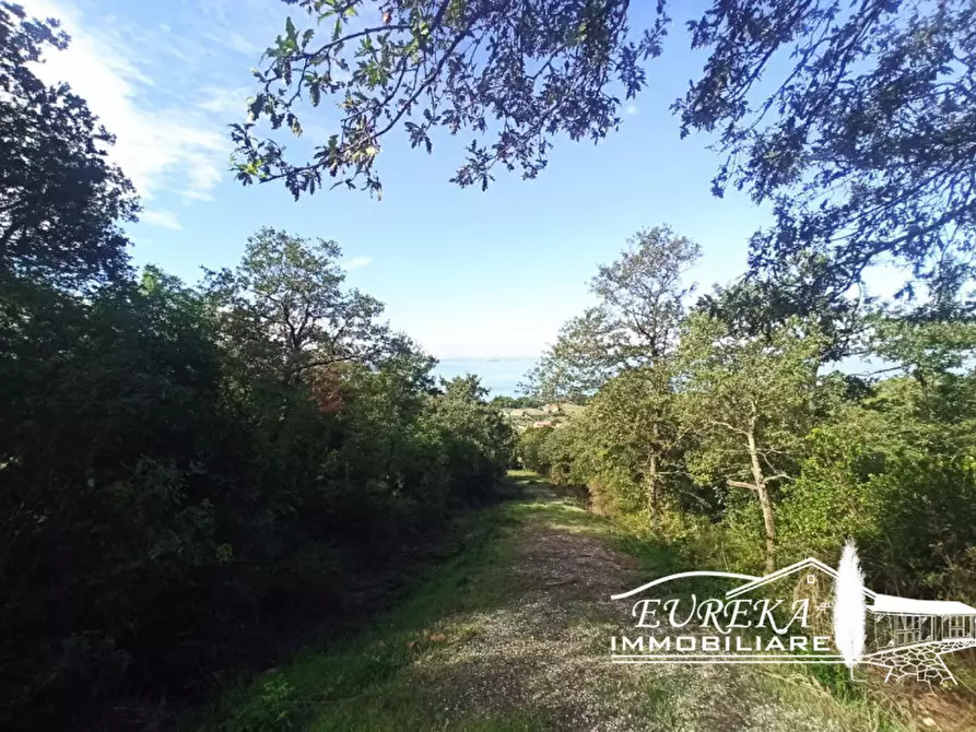 Immagine 8 di Terreno in vendita  in strada della rocca a Magione