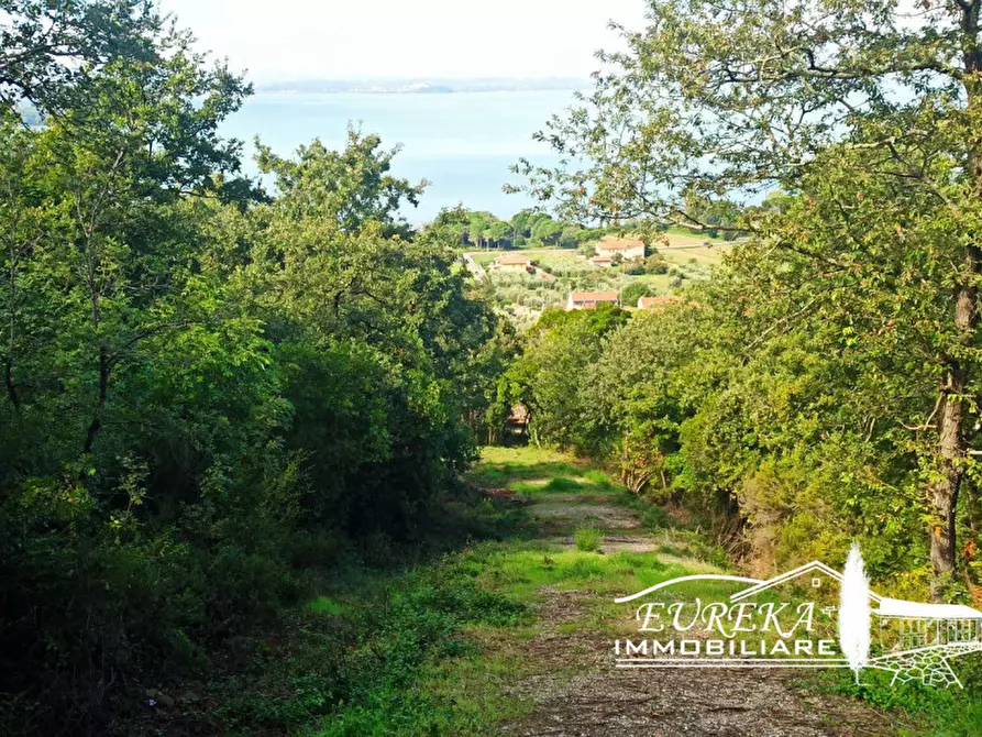 Immagine 9 di Terreno in vendita  in strada della rocca a Magione