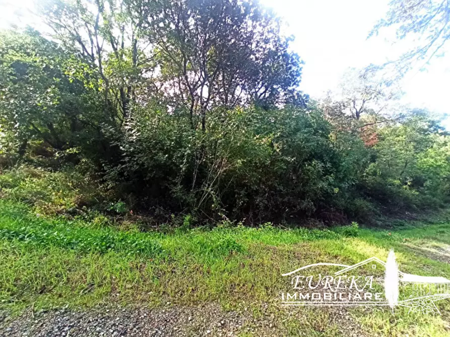 Immagine 11 di Terreno in vendita  in strada della rocca a Magione