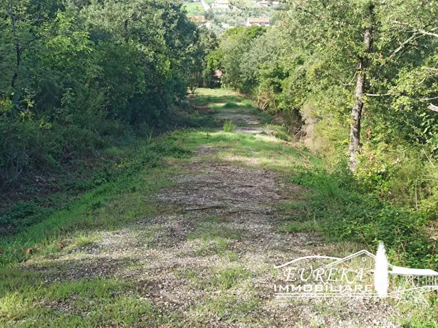 Immagine 12 di Terreno in vendita  in strada della rocca a Magione
