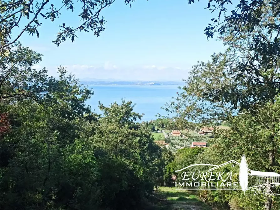 Immagine 14 di Terreno in vendita  in strada della rocca a Magione