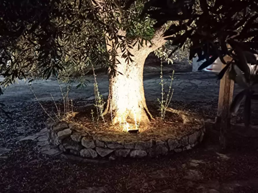 Immagine 10 di Rustico / casale in affitto  in C.da Badessa a Ostuni