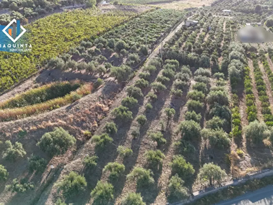 casa indipendente in vendita a Palagonia