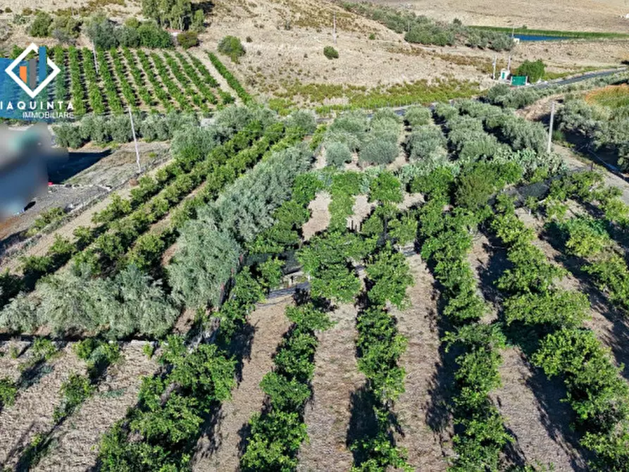 Immagine 2 di Terreno in vendita  in Contrada Sparagogna a Palagonia