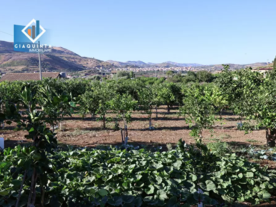 Immagine 3 di Terreno in vendita  in Contrada Sparagogna a Palagonia