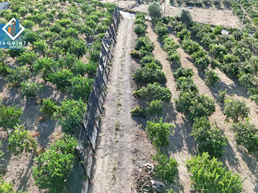Immagine 4 di Terreno in vendita  in Contrada Sparagogna a Palagonia