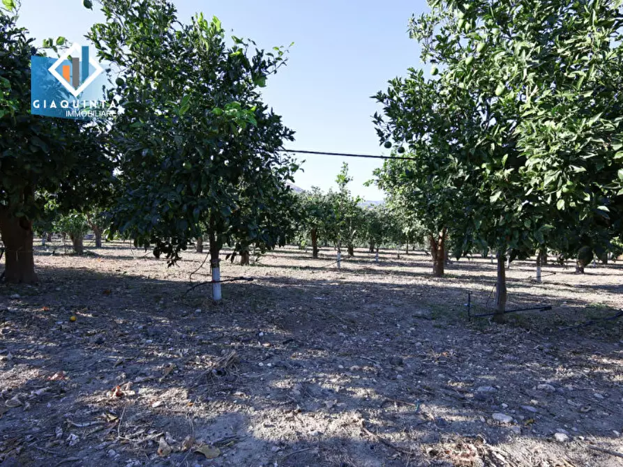Immagine 6 di Terreno in vendita  in Contrada Sparagogna a Palagonia