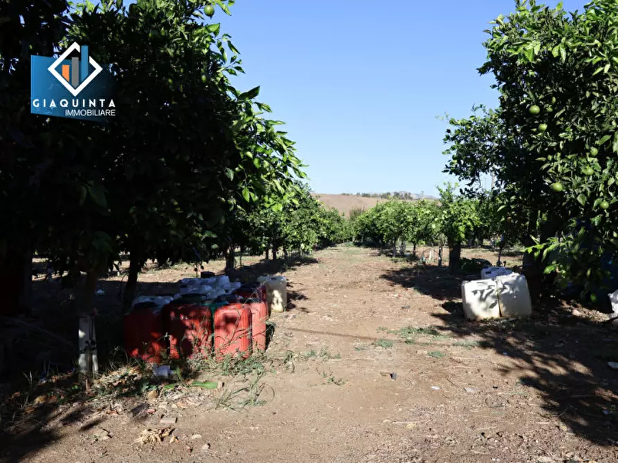 Immagine 8 di Terreno in vendita  in Contrada Sparagogna a Palagonia
