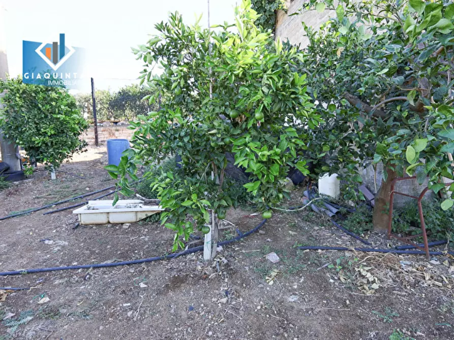 Immagine 9 di Terreno in vendita  in Contrada Sparagogna a Palagonia