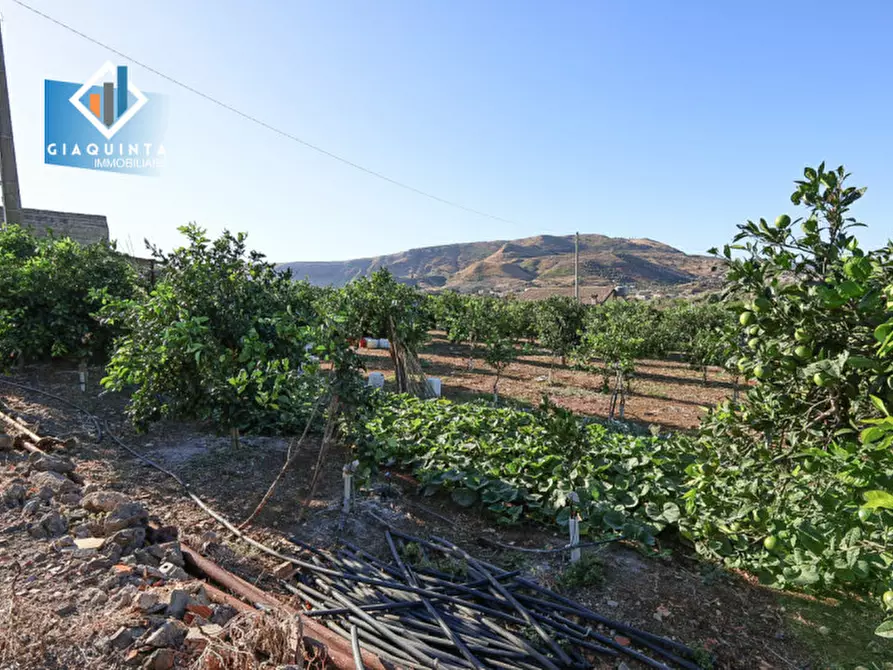 Immagine 10 di Terreno in vendita  in Contrada Sparagogna a Palagonia