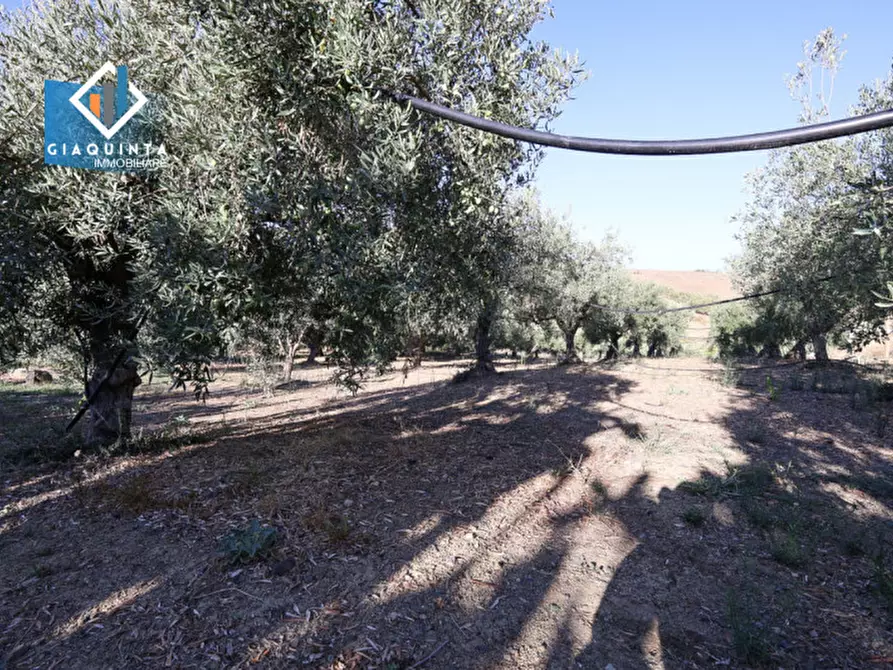 Immagine 11 di Terreno in vendita  in Contrada Sparagogna a Palagonia