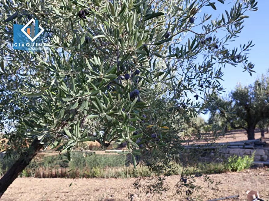Immagine 12 di Terreno in vendita  in Contrada Sparagogna a Palagonia