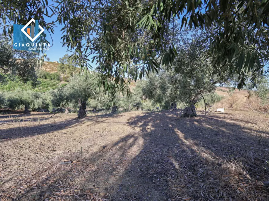Immagine 14 di Terreno in vendita  in Contrada Sparagogna a Palagonia