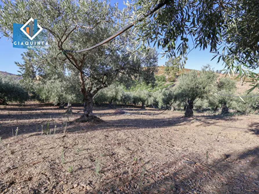 Immagine 15 di Terreno in vendita  in Contrada Sparagogna a Palagonia