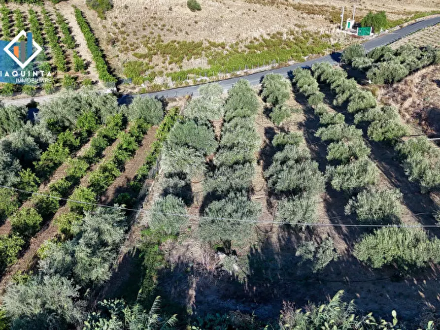 Immagine 16 di Terreno in vendita  in Contrada Sparagogna a Palagonia