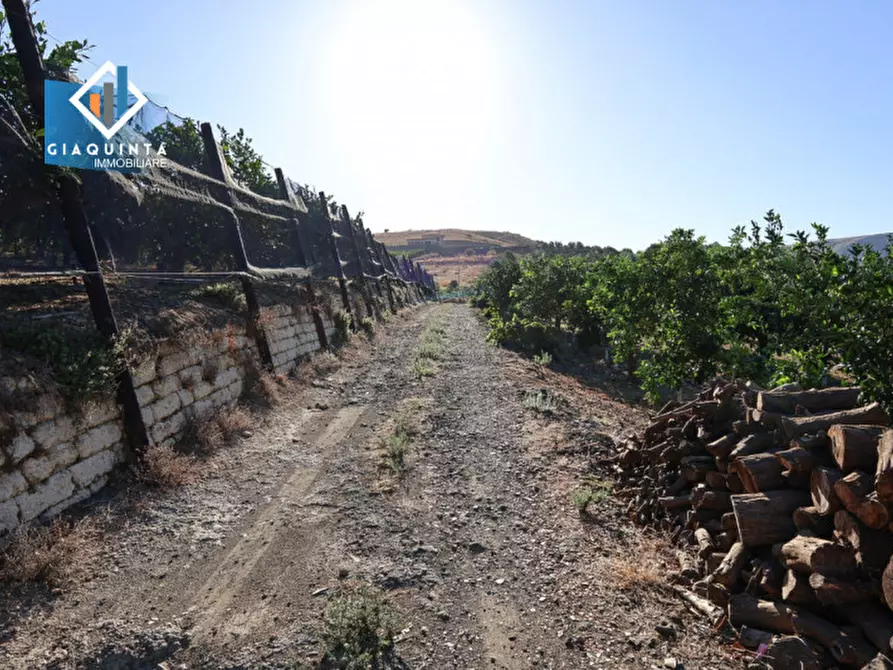 Immagine 19 di Terreno in vendita  in Contrada Sparagogna a Palagonia