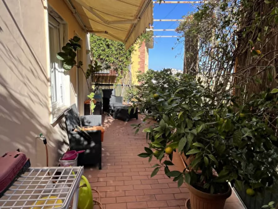 Immagine 36 di Appartamento in vendita  in Via Podgora a Ancona