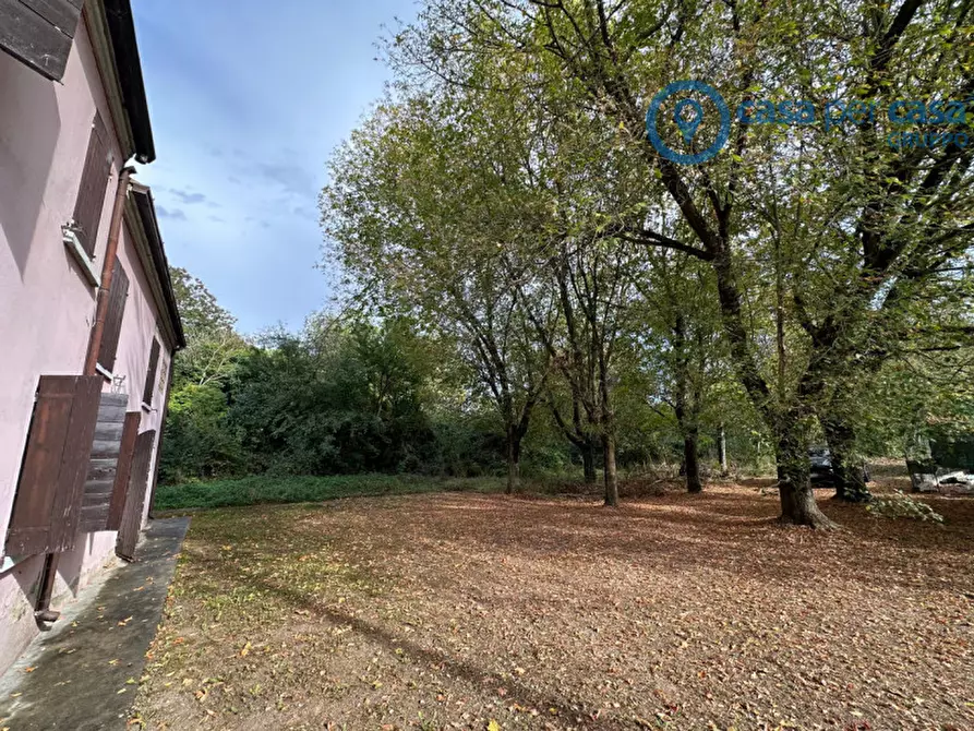 Immagine 4 di Casa bifamiliare in vendita  a Guarda Veneta