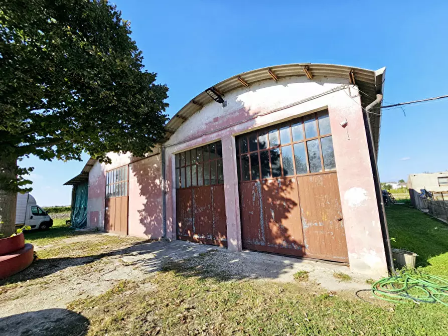 Immagine 14 di Casa indipendente in vendita  in VIA VALLETTA a Merlara