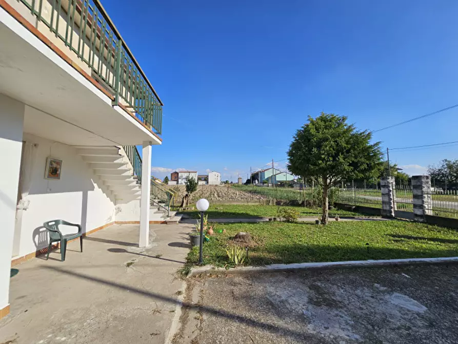 Immagine 15 di Casa indipendente in vendita  in VIA VALLETTA a Merlara