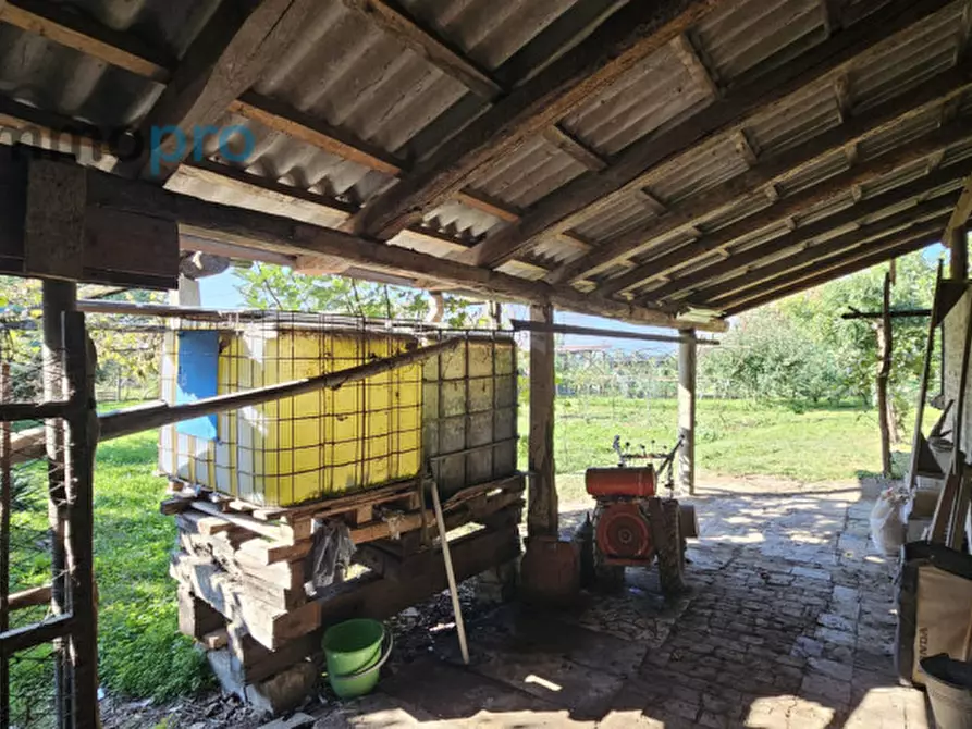 Immagine 61 di Rustico / casale in vendita  a Ciconio