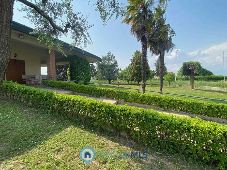 Immagine 7 di Villa in vendita  in Via Pontemanco a Due Carrare