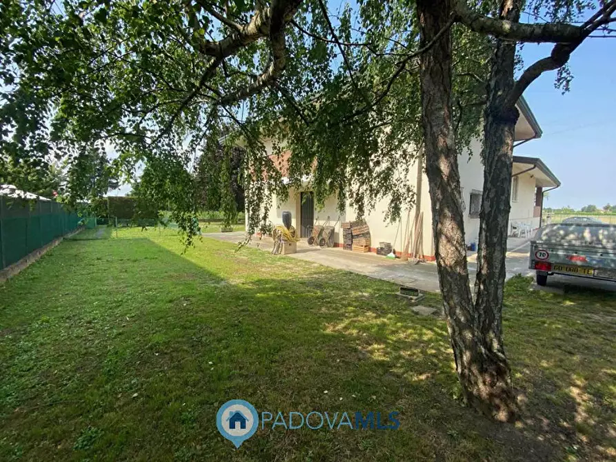 Immagine 8 di Villa in vendita  in Via Pontemanco a Due Carrare