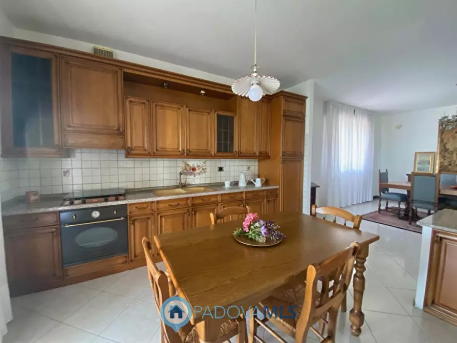 Immagine 21 di Villa in vendita  in Via Pontemanco a Due Carrare