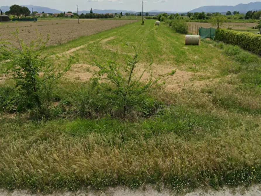Immagine 4 di Terreno in vendita  in Via Nuova, 06039 Cannaiola PG, Italia a Trevi