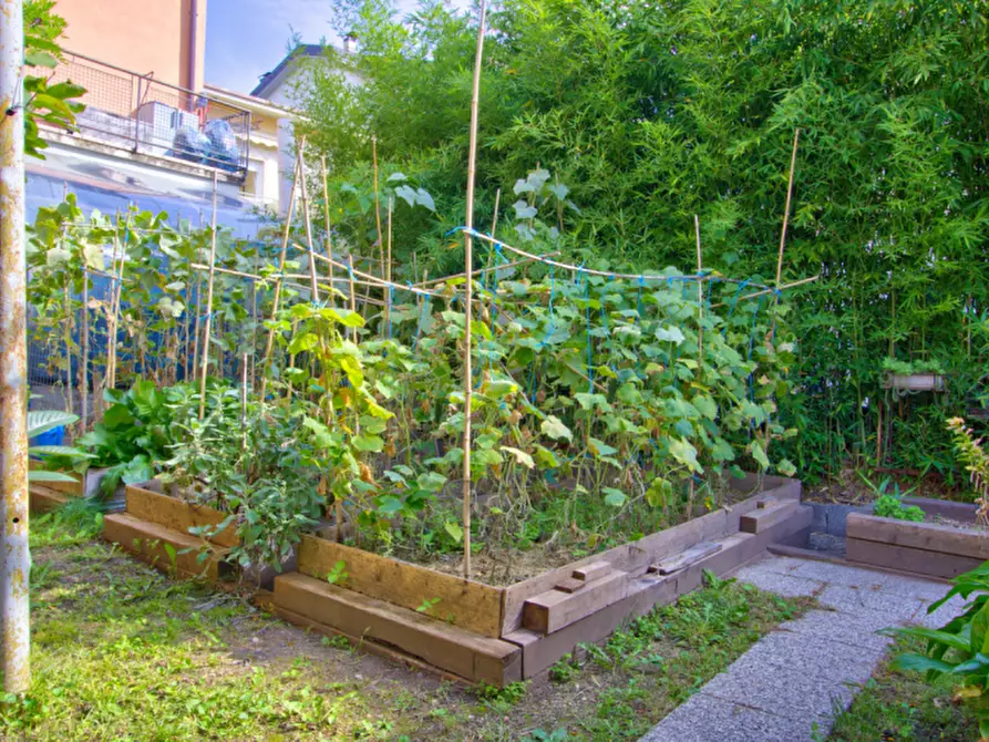 Immagine 15 di Appartamento in vendita  in Via Unione 5 a Rovereto