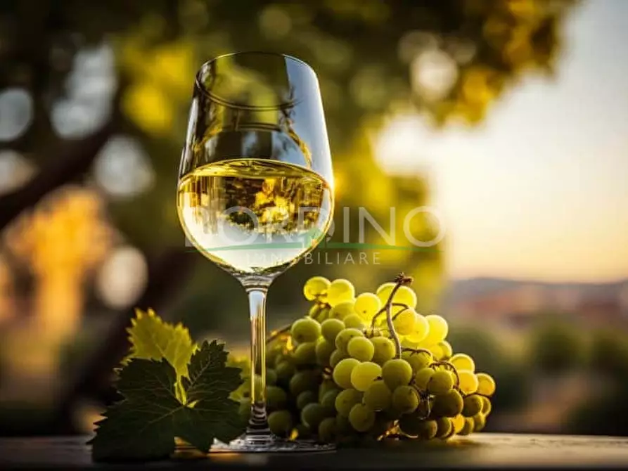 Immagine 1 di Terreno in vendita  in Località Flori snc a Mango