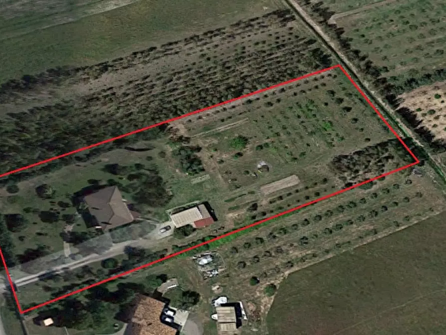 Immagine 3 di Casa indipendente in vendita  in strada consortile a Marrubiu