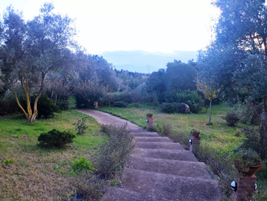 Immagine 14 di Casa indipendente in vendita  in strada consortile a Marrubiu