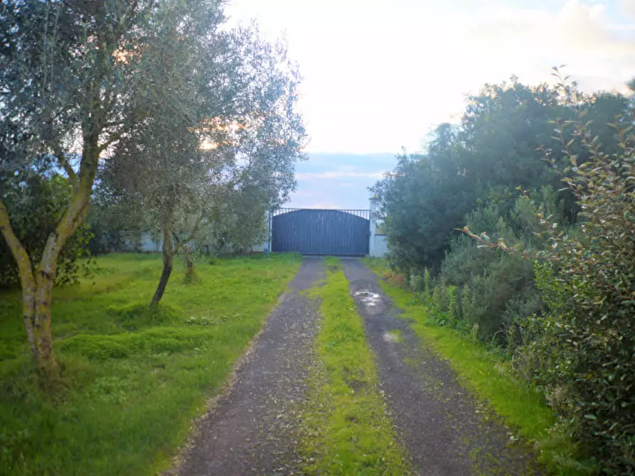 Immagine 16 di Casa indipendente in vendita  in strada consortile a Marrubiu