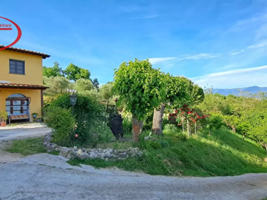 Immagine 6 di Villa in vendita  in Via Montecarlo a San Giovanni Valdarno