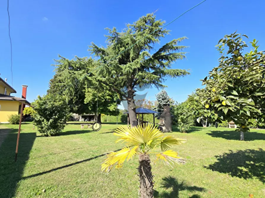 Immagine 1 di Casa indipendente in vendita  a Camponogara