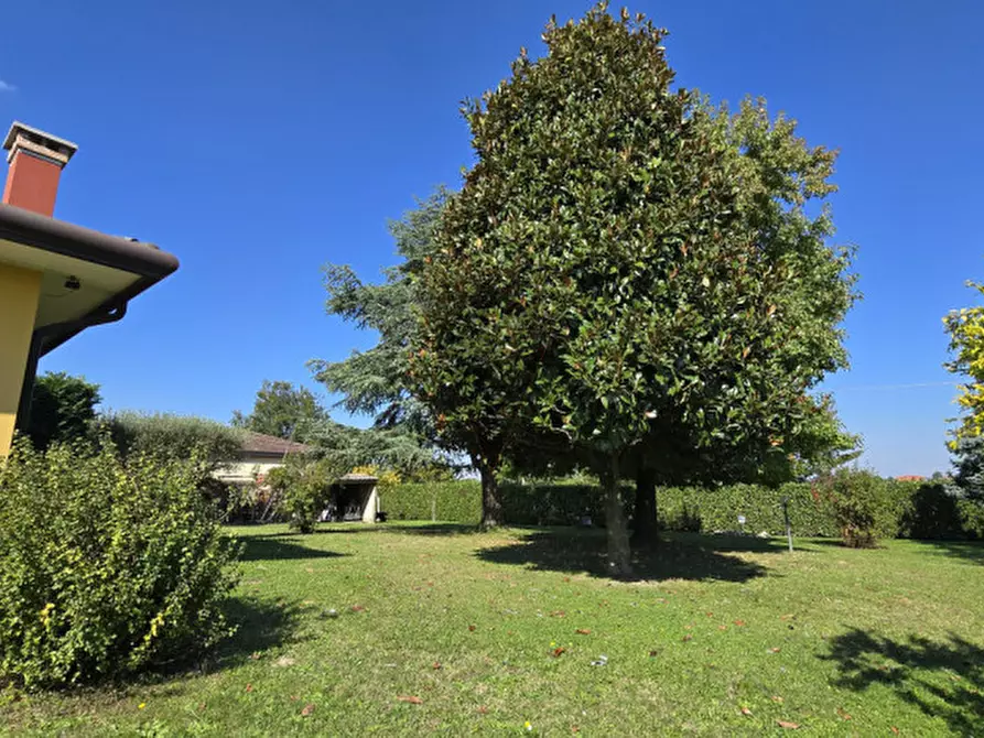 Immagine 3 di Casa indipendente in vendita  a Camponogara