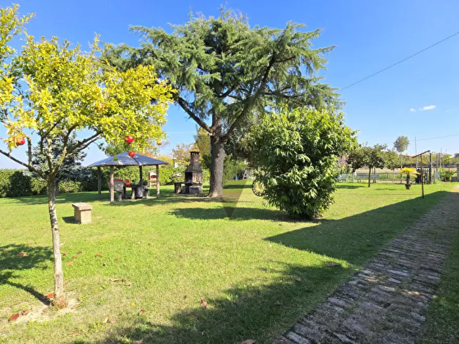 Immagine 17 di Casa indipendente in vendita  a Camponogara