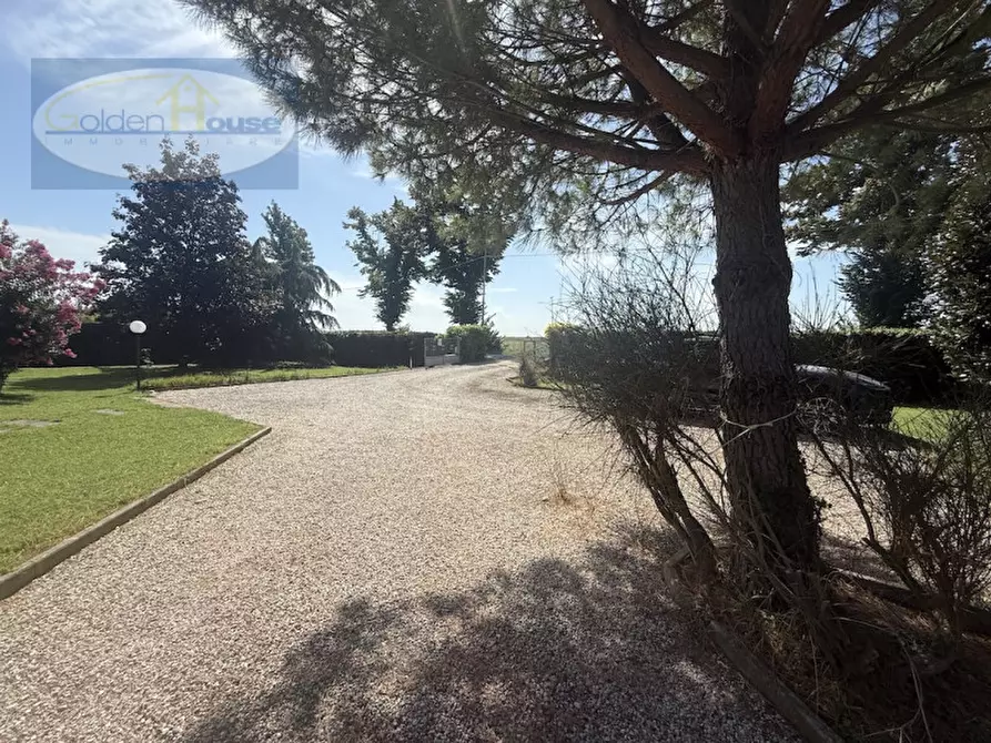 Immagine 38 di Villa in vendita  in Via Nazionale 95/1 a Argenta