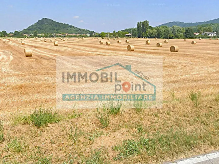 Immagine 3 di Terreno in vendita  in Via Molinrotto a Teolo