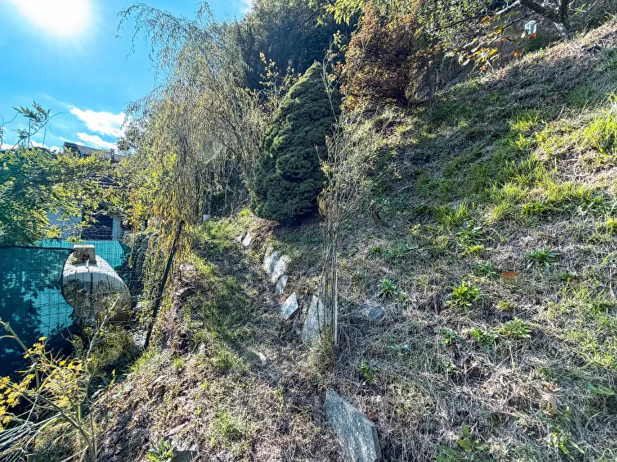 Immagine 28 di Casa bifamiliare in vendita  in Via Vallestrona 34 a Omegna