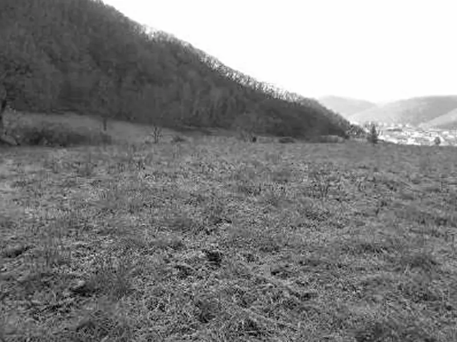 Immagine 17 di Rustico / casale in vendita  in Contrada Vanti a Badia Calavena