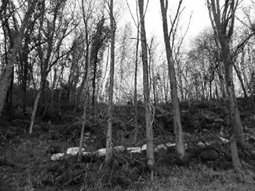 Immagine 19 di Rustico / casale in vendita  in Contrada Vanti a Badia Calavena