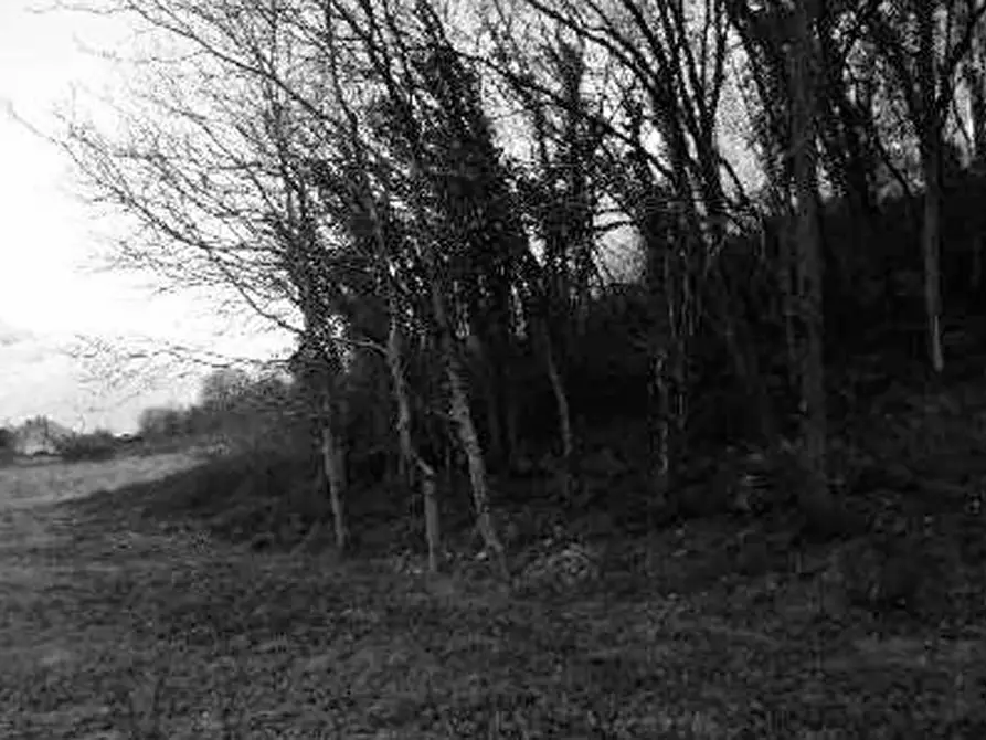 Immagine 20 di Rustico / casale in vendita  in Contrada Vanti a Badia Calavena