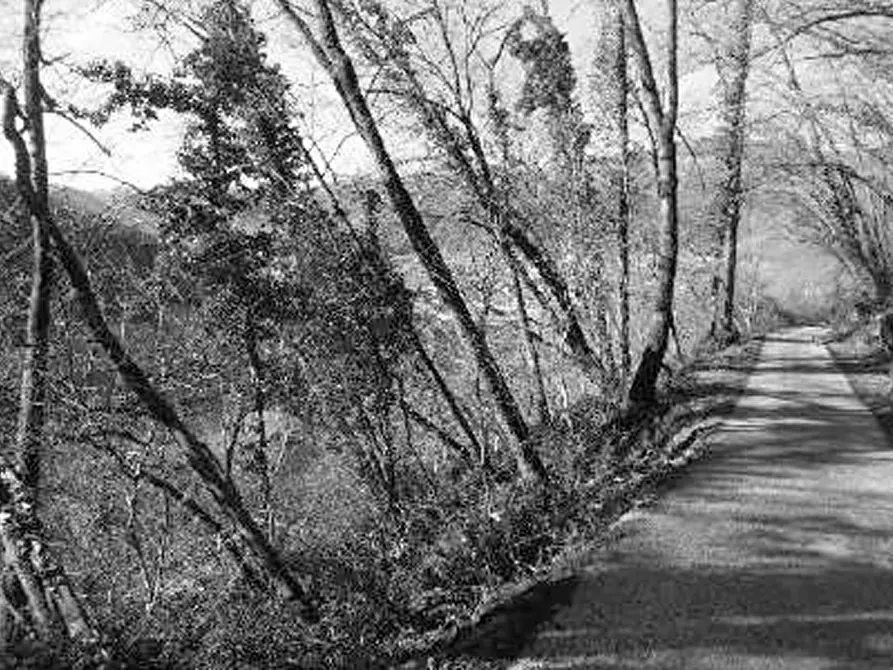 Immagine 22 di Rustico / casale in vendita  in Contrada Vanti a Badia Calavena