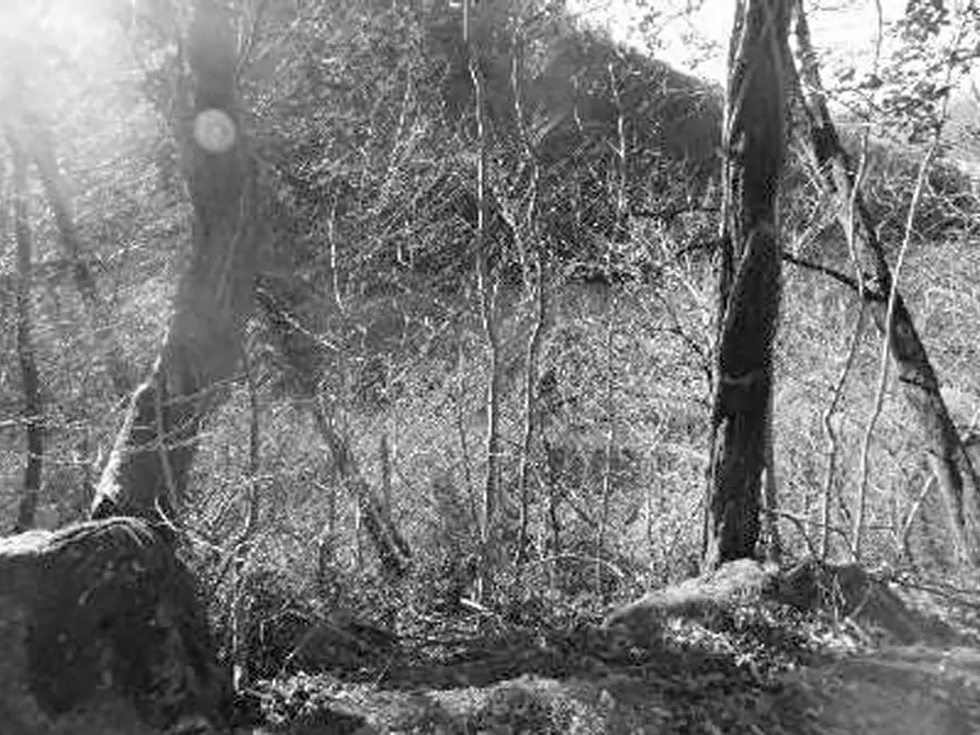 Immagine 23 di Rustico / casale in vendita  in Contrada Vanti a Badia Calavena