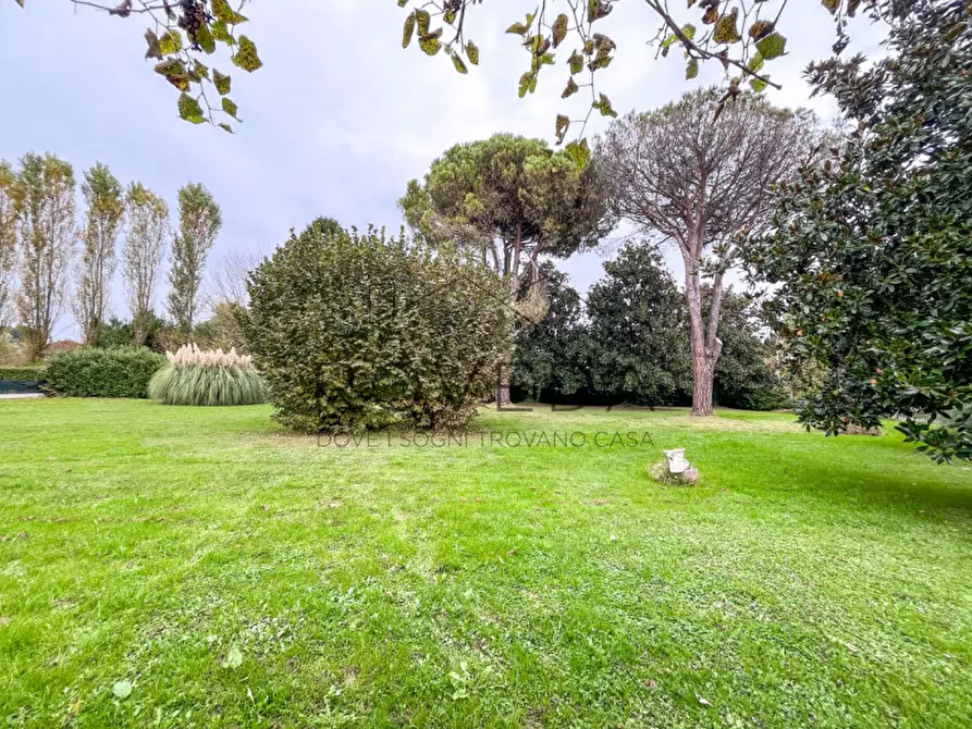 Immagine 4 di Casa indipendente in vendita  in Via Sambughè a Preganziol