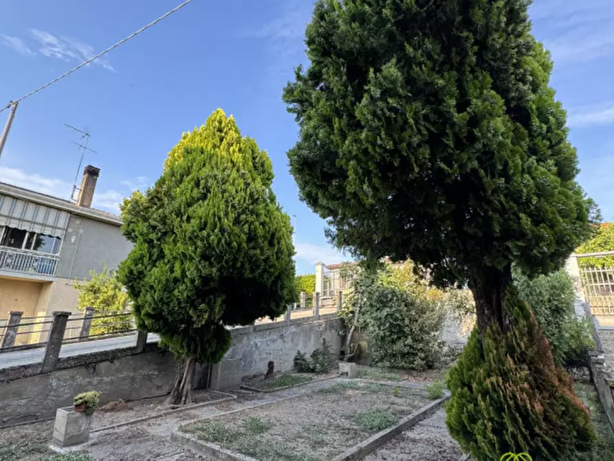 Immagine 3 di Casa bifamiliare in vendita  in Via Fratelli Cervi a Campagna Lupia